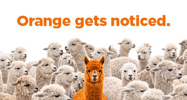 orange gets noticed-Premier Edge